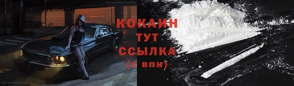 гашик Арсеньев
